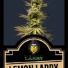 Lemon Larry