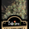 Ballerblume 1
