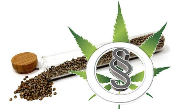 Cannabis Samen online kaufen oder bestellen – ist das legal?