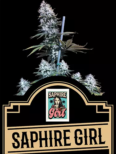 Saphire Girl