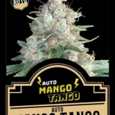 Auto Mango Tango
