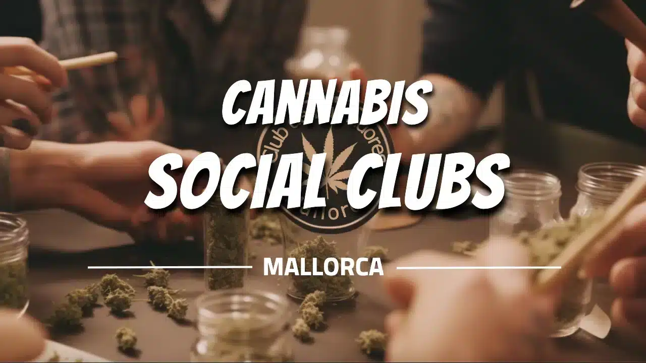 Cannabis Social Clubs Mallorca