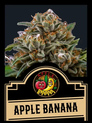 Apple Banana