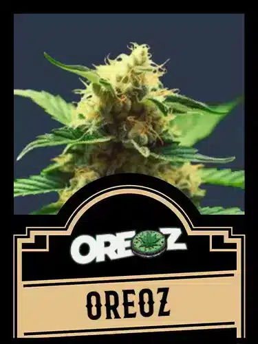 Oreoz